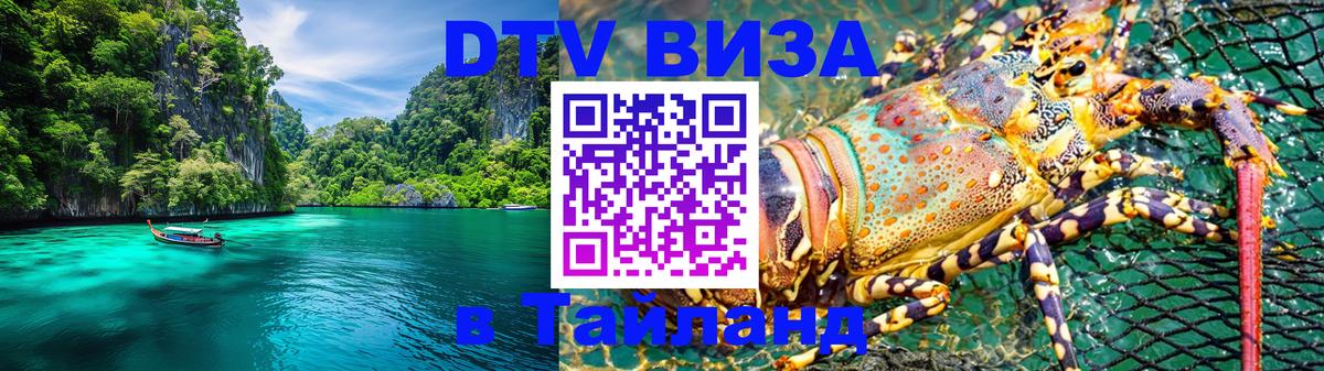 Сколько стоит DTV виза — актуальные цены, оформление даже без документов - 